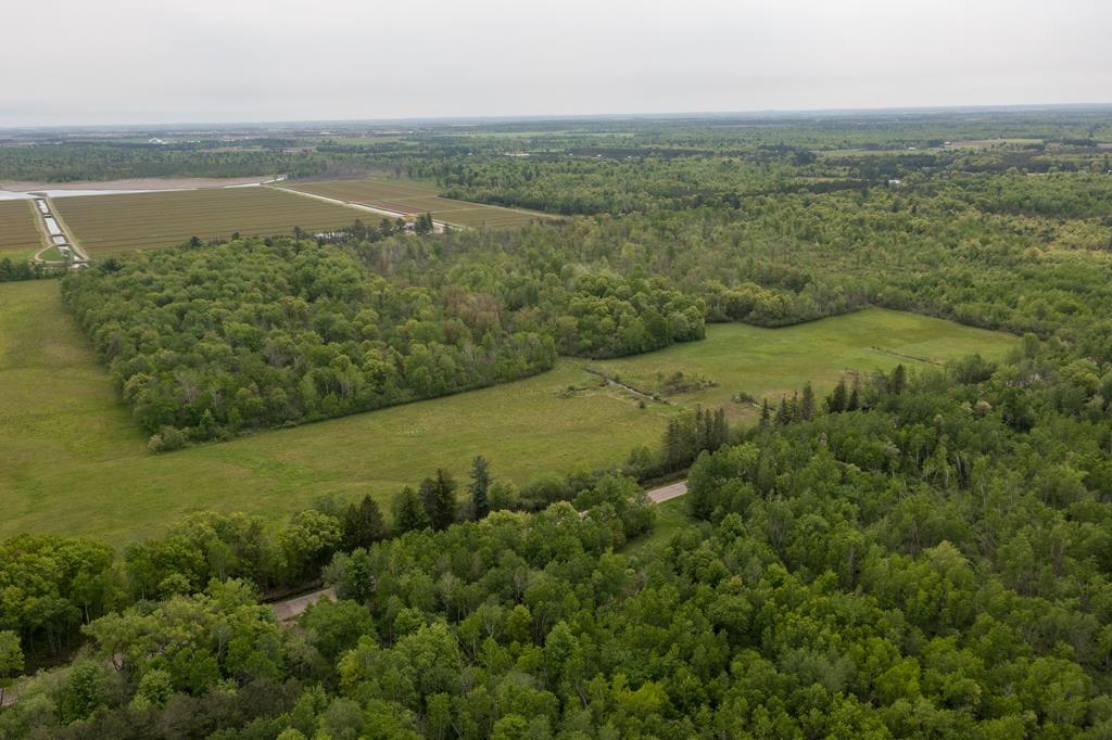 Lot 4 80TH STREET NORTH, Wisconsin Rapids, Wisconsin 54494, ,Land,For Sale,Lot 4 80TH STREET NORTH,22403306