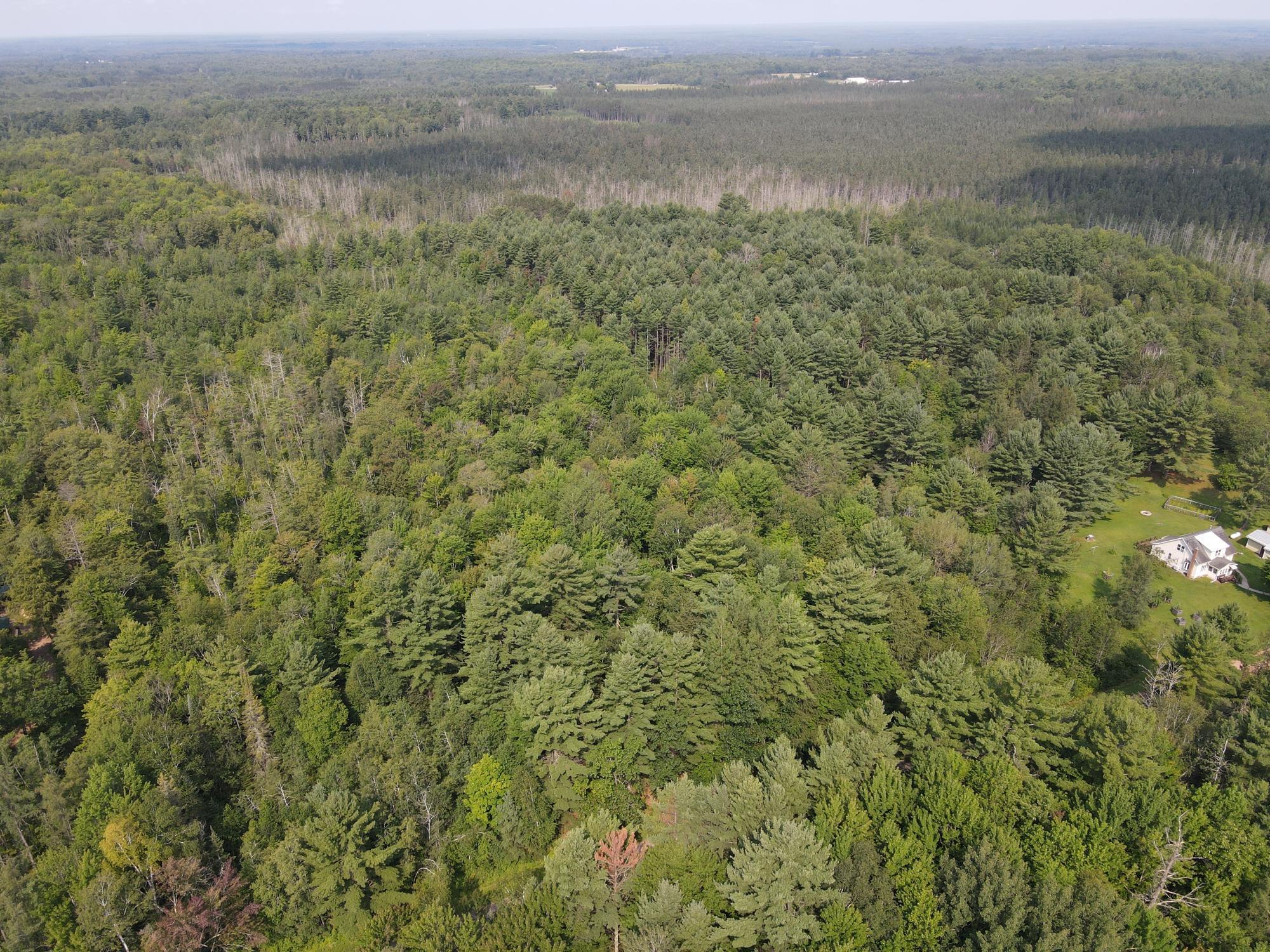 000 DAHL ROAD, Ogema, Wisconsin 54459, ,Land,For Sale,000 DAHL ROAD,22403564