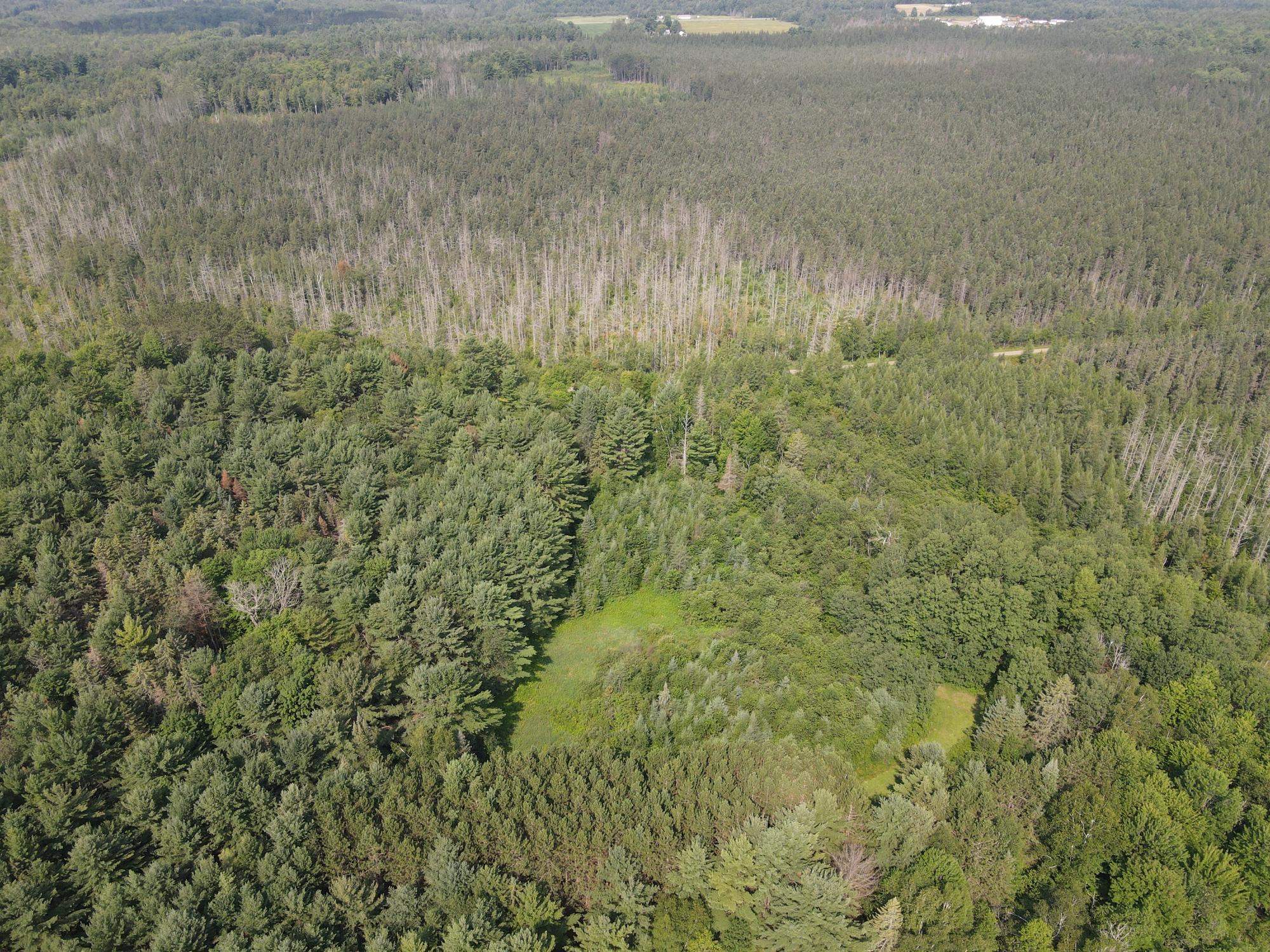 000 DAHL ROAD, Ogema, Wisconsin 54459, ,Land,For Sale,000 DAHL ROAD,22403564