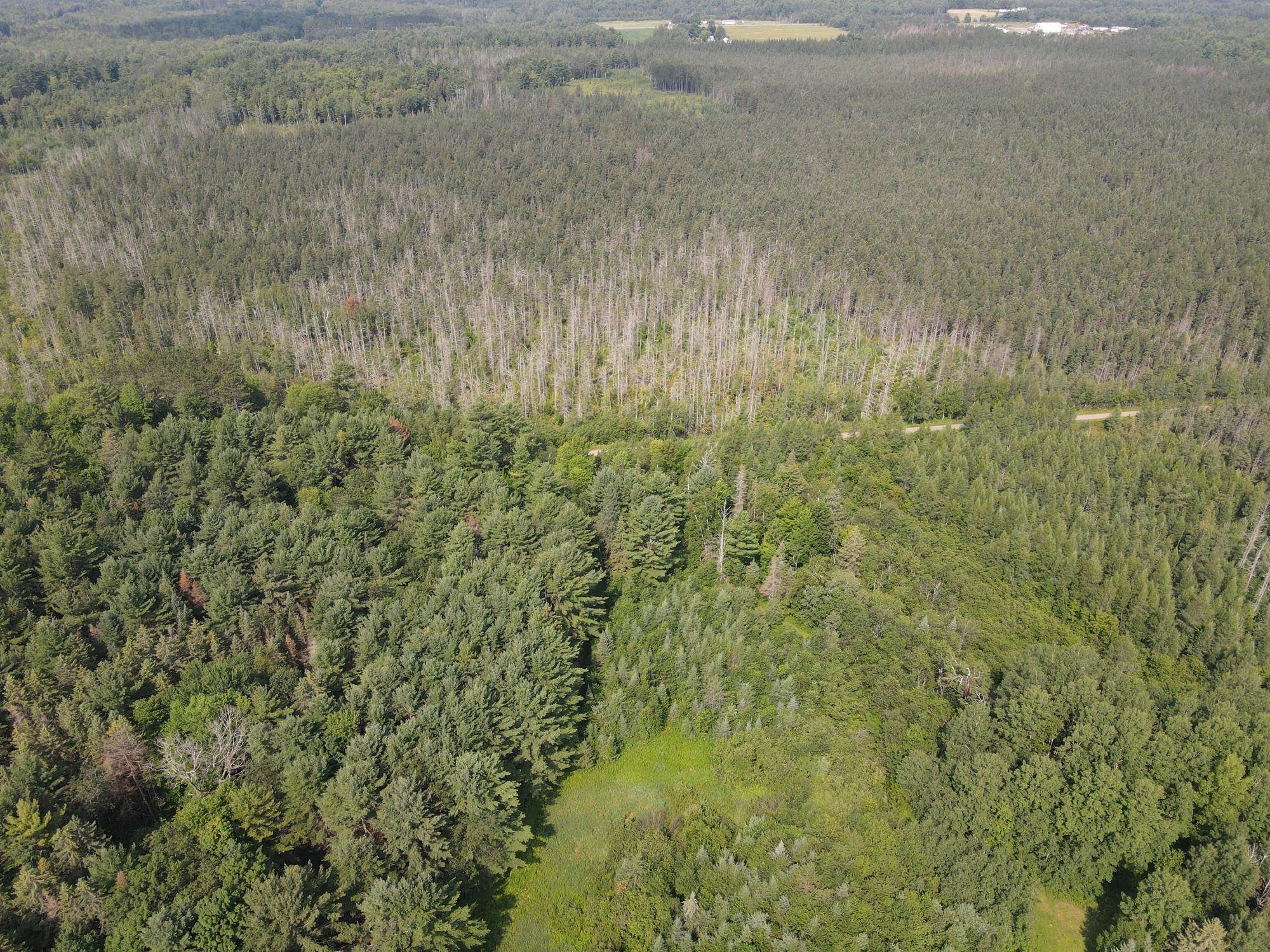 000 DAHL ROAD, Ogema, Wisconsin 54459, ,Land,For Sale,000 DAHL ROAD,22403564