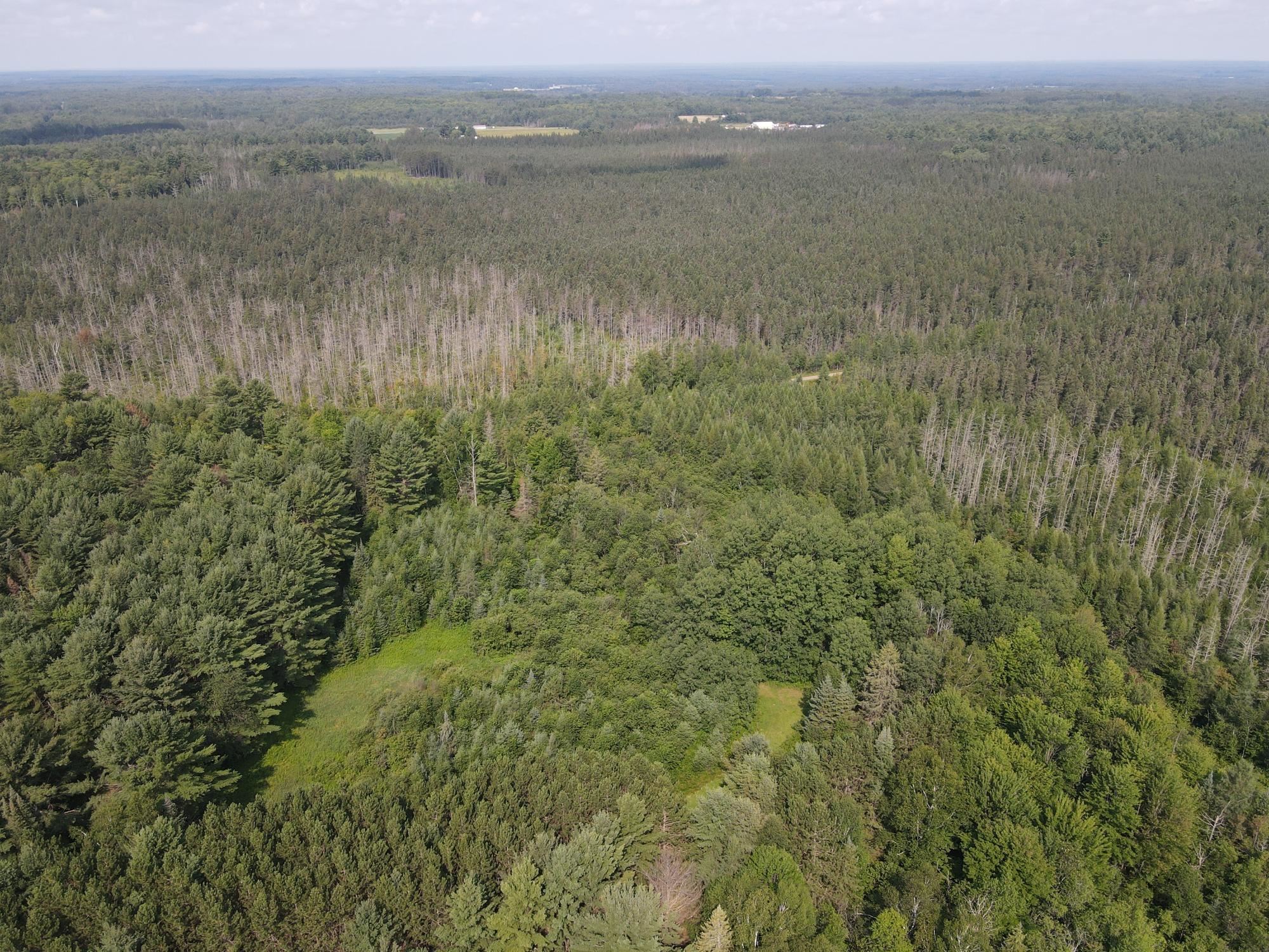 000 DAHL ROAD, Ogema, Wisconsin 54459, ,Land,For Sale,000 DAHL ROAD,22403564