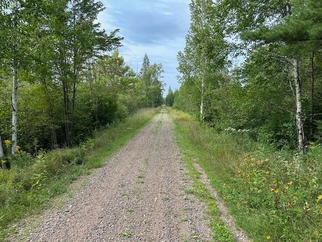 000 DAHL ROAD, Ogema, Wisconsin 54459, ,Land,For Sale,000 DAHL ROAD,22403564
