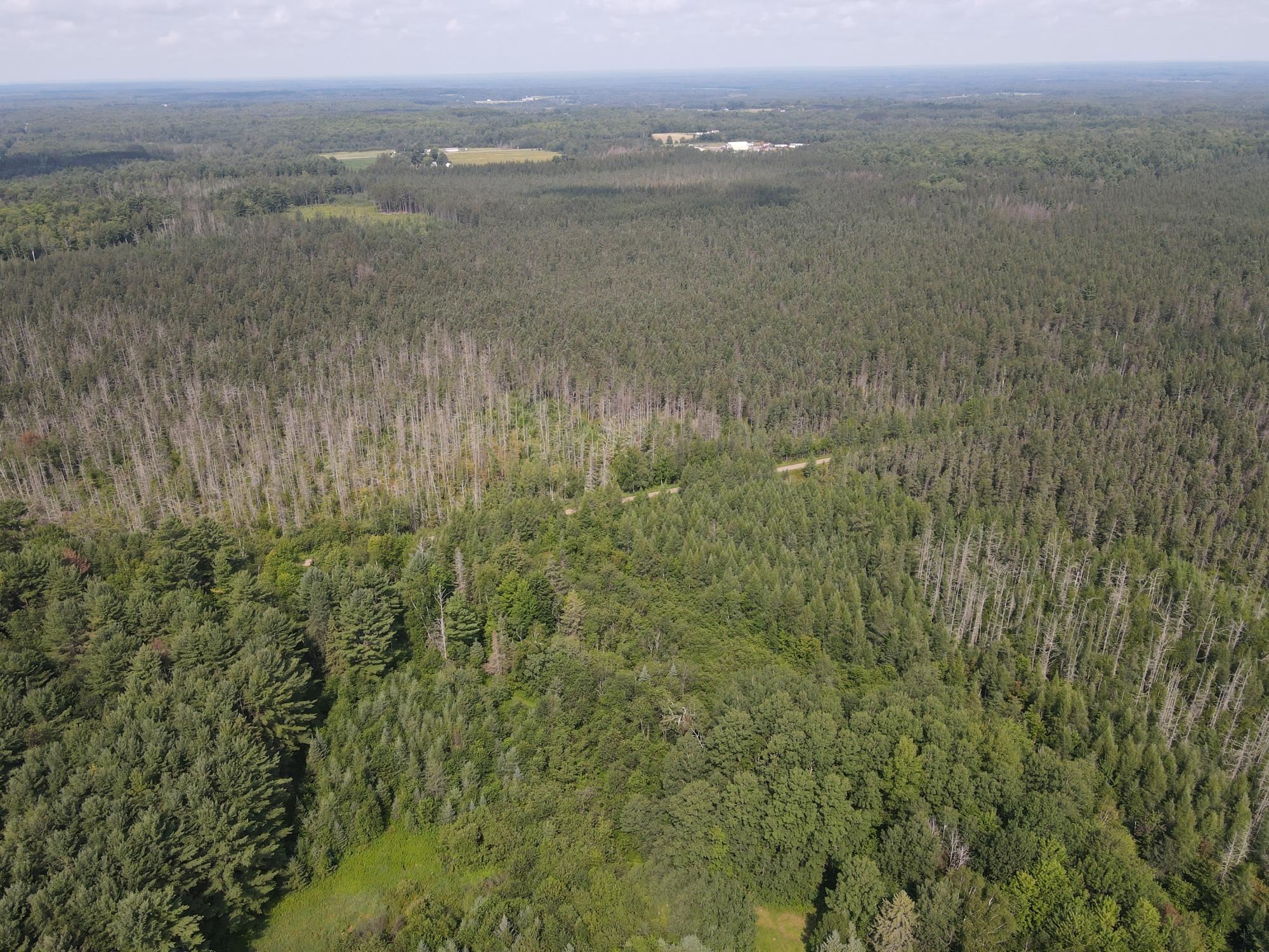 000 DAHL ROAD, Ogema, Wisconsin 54459, ,Land,For Sale,000 DAHL ROAD,22403564