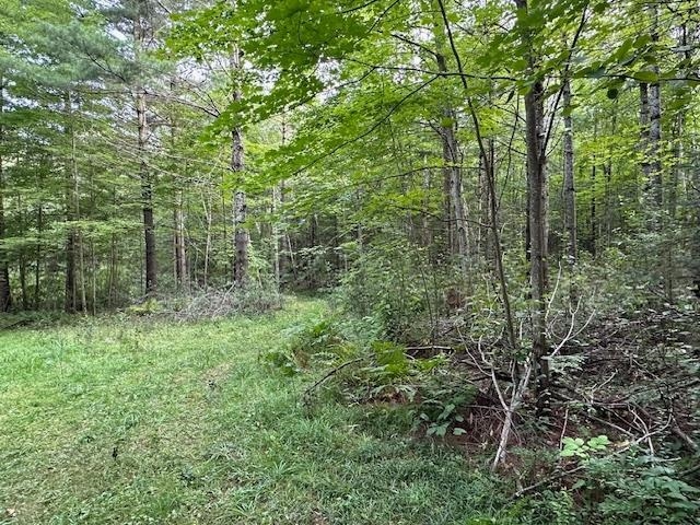 000 DAHL ROAD, Ogema, Wisconsin 54459, ,Land,For Sale,000 DAHL ROAD,22403564