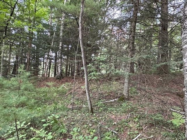 000 DAHL ROAD, Ogema, Wisconsin 54459, ,Land,For Sale,000 DAHL ROAD,22403564