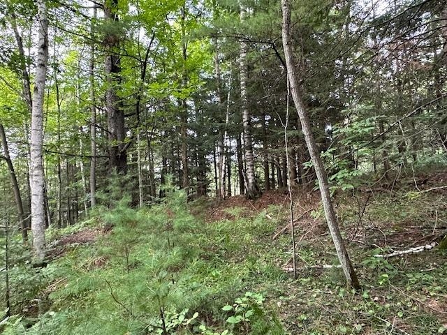 000 DAHL ROAD, Ogema, Wisconsin 54459, ,Land,For Sale,000 DAHL ROAD,22403564