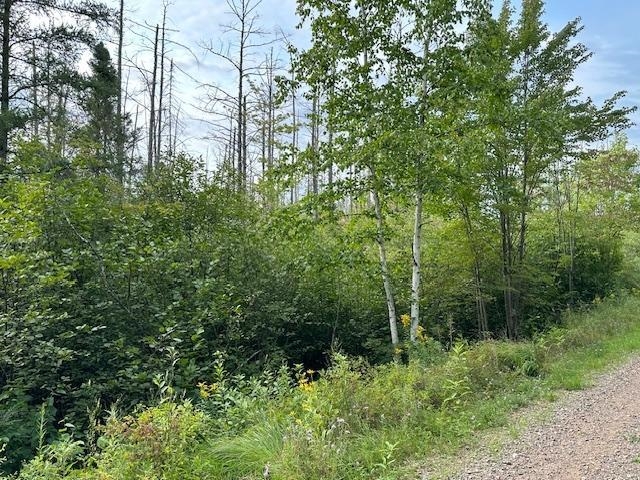 000 DAHL ROAD, Ogema, Wisconsin 54459, ,Land,For Sale,000 DAHL ROAD,22403564