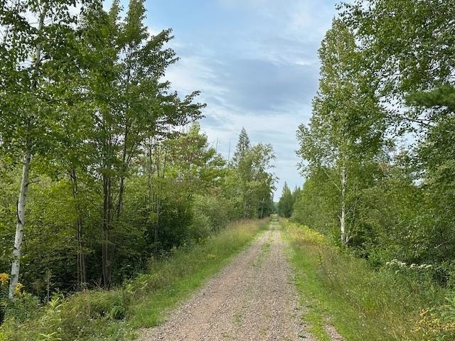 000 DAHL ROAD, Ogema, Wisconsin 54459, ,Land,For Sale,000 DAHL ROAD,22403564