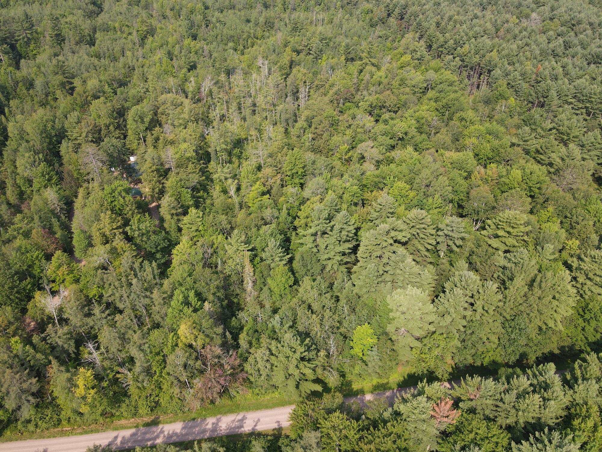 000 DAHL ROAD, Ogema, Wisconsin 54459, ,Land,For Sale,000 DAHL ROAD,22403564