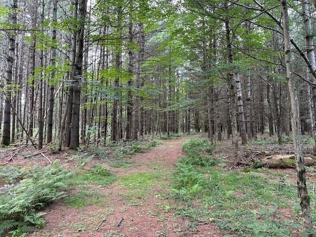 000 DAHL ROAD, Ogema, Wisconsin 54459, ,Land,For Sale,000 DAHL ROAD,22403564