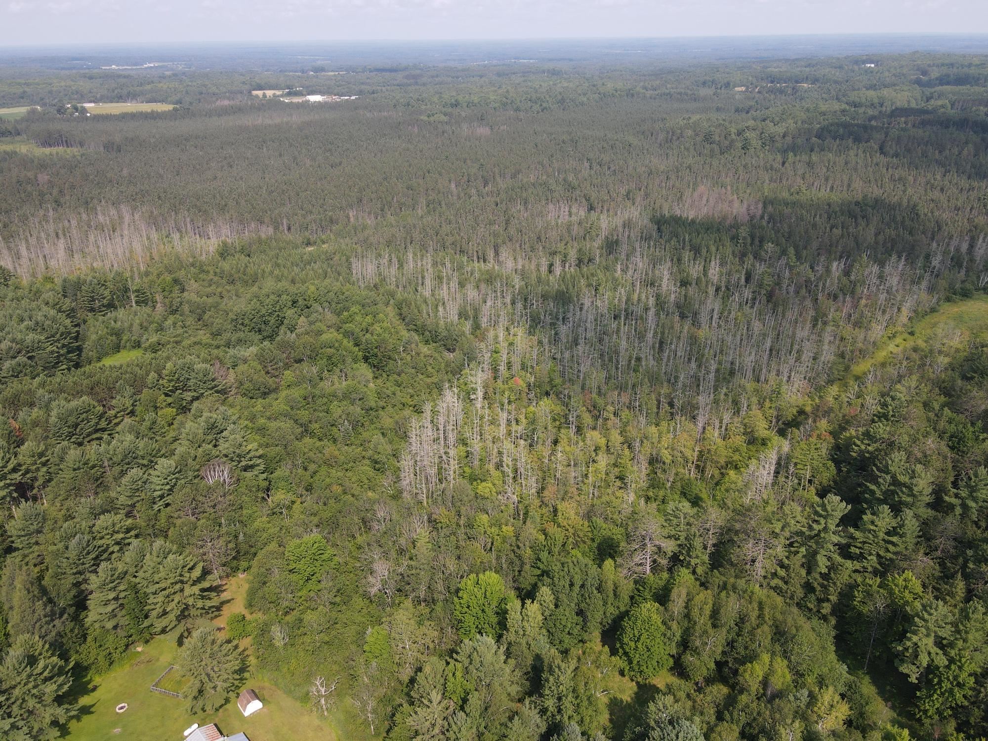 000 DAHL ROAD, Ogema, Wisconsin 54459, ,Land,For Sale,000 DAHL ROAD,22403564