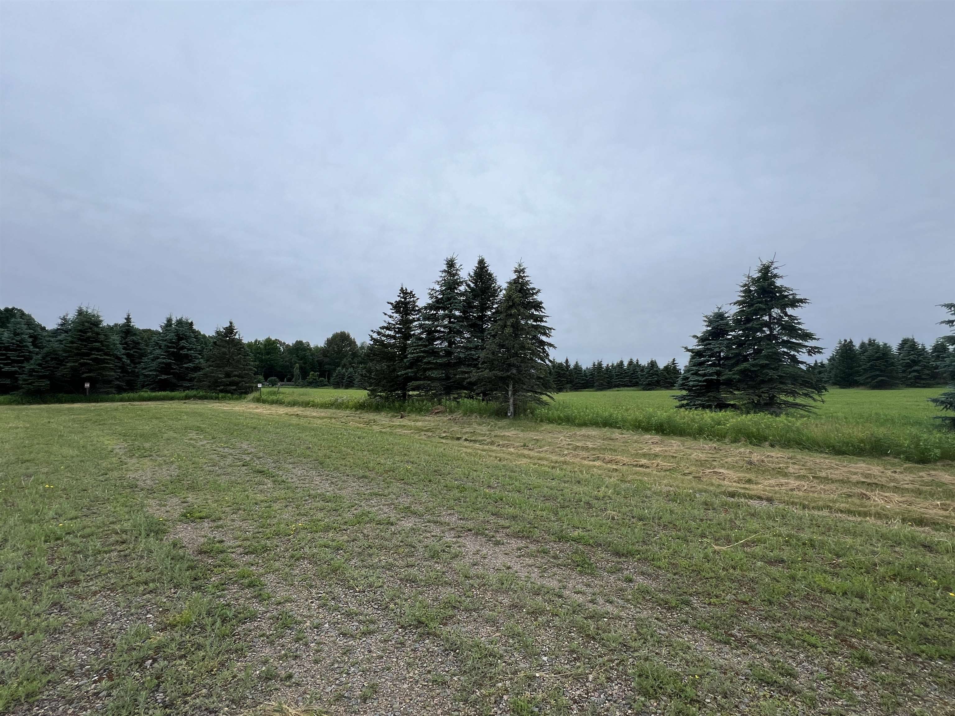 Lot 9 SUE ALAN DRIVE, Wittenberg, Wisconsin 54499, ,Land,For Sale,Lot 9 SUE ALAN DRIVE,22403729