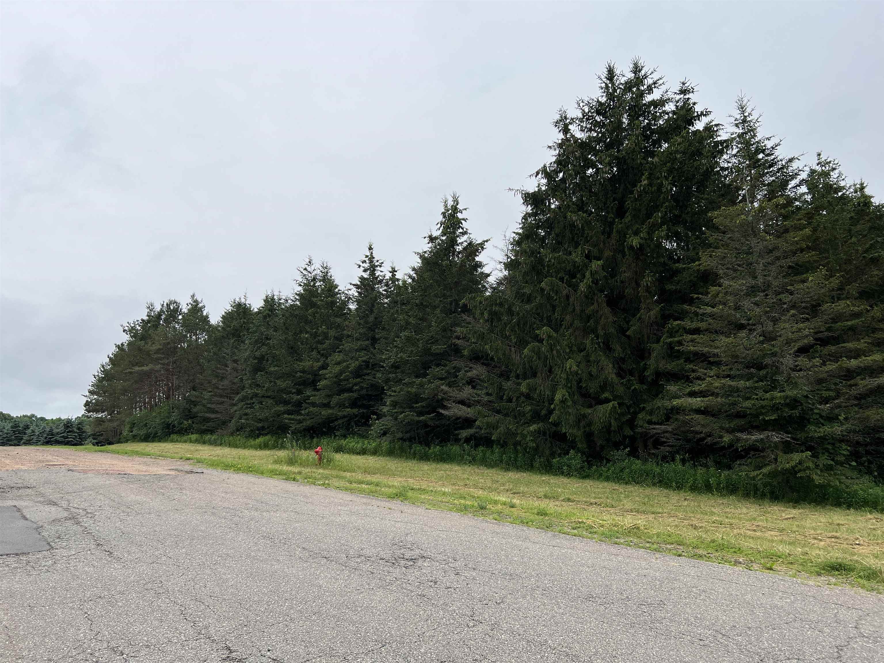 Lot 4 SUE ALAN DRIVE, Wittenberg, Wisconsin 54499, ,Land,For Sale,Lot 4 SUE ALAN DRIVE,22403749
