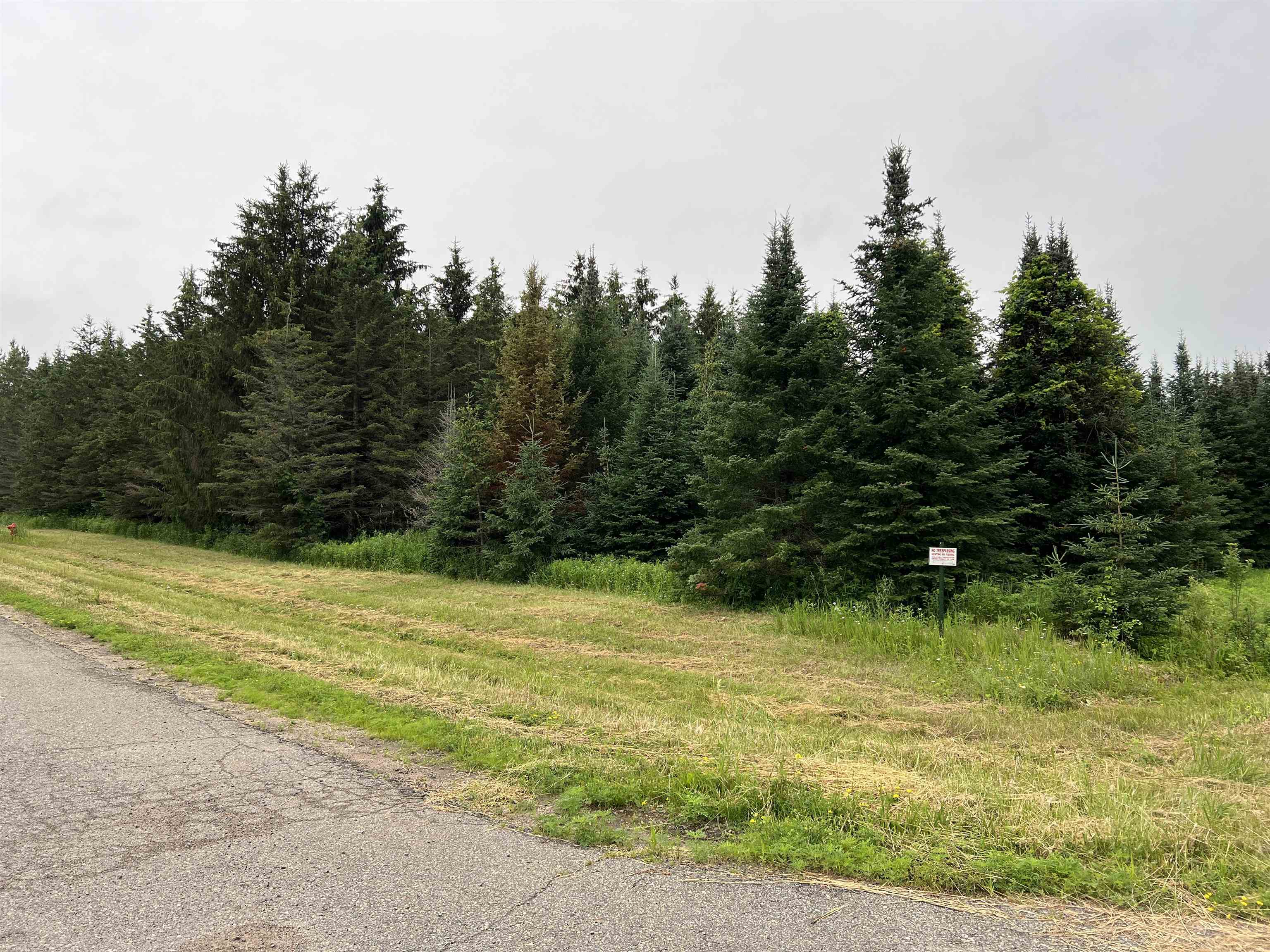 Lot 3 SUE ALAN DRIVE, Wittenberg, Wisconsin 54499, ,Land,For Sale,Lot 3 SUE ALAN DRIVE,22403750