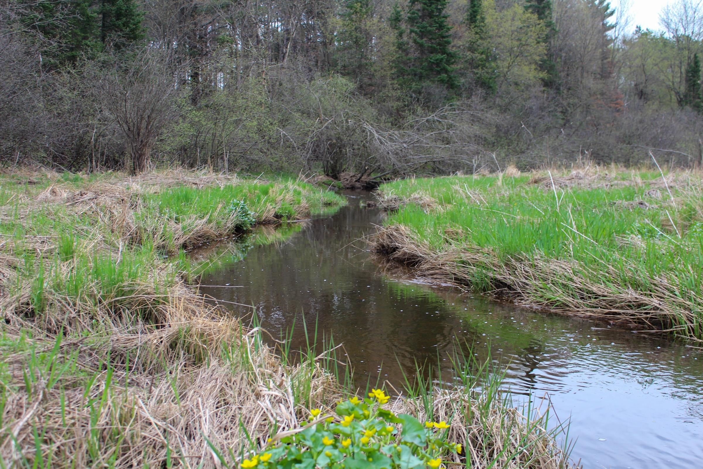 +/-9.05 Acres STATE HIGHWAY 64, Medford, Wisconsin 54451, ,Land,For Sale,+/-9.05 Acres STATE HIGHWAY 64,22403772