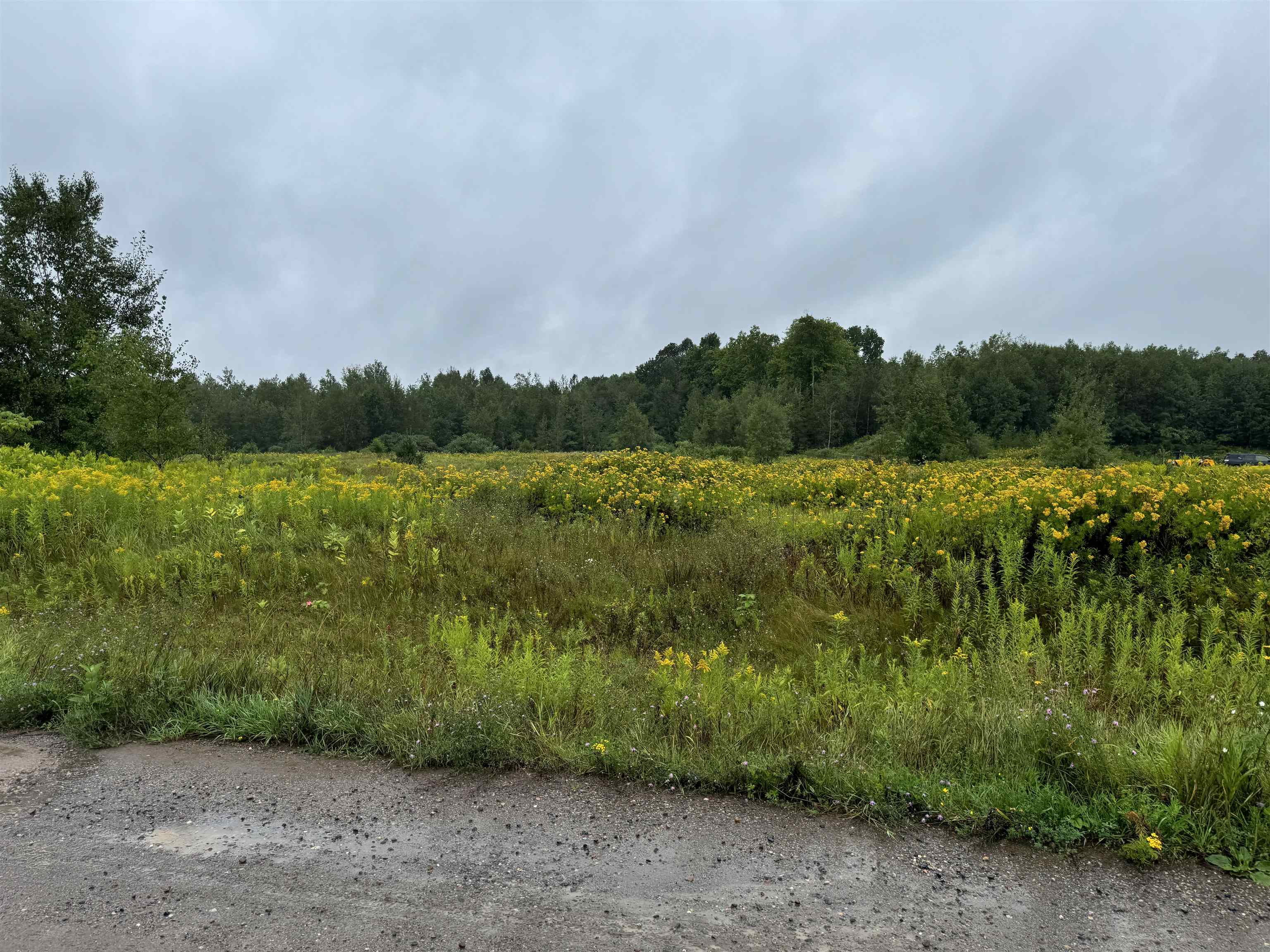 Lot 9 TAYLOR DRIVE, Rhinelander, Wisconsin 54501, ,Land,For Sale,Lot 9 TAYLOR DRIVE,22403876