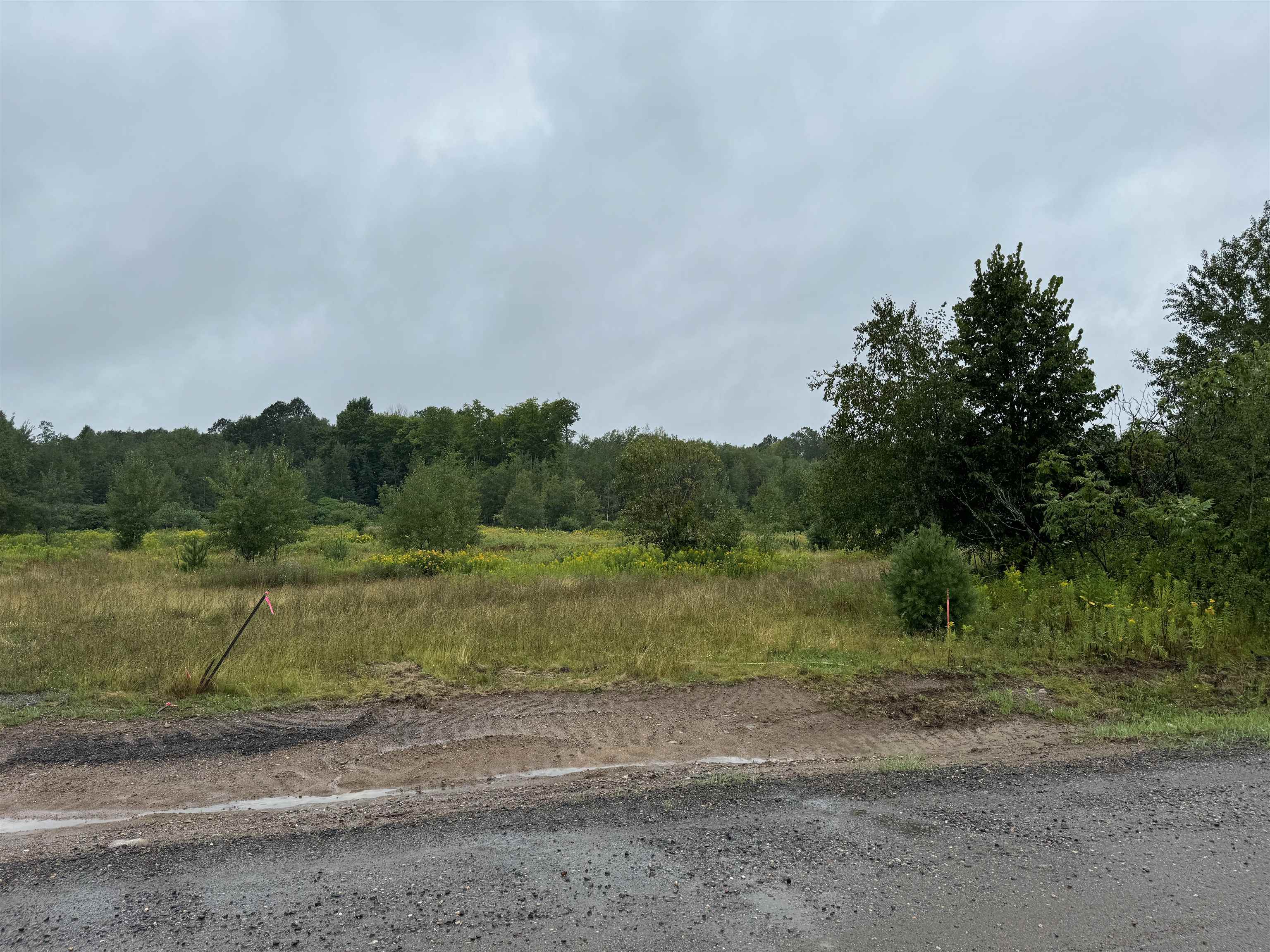 Lot 9 TAYLOR DRIVE, Rhinelander, Wisconsin 54501, ,Land,For Sale,Lot 9 TAYLOR DRIVE,22403876