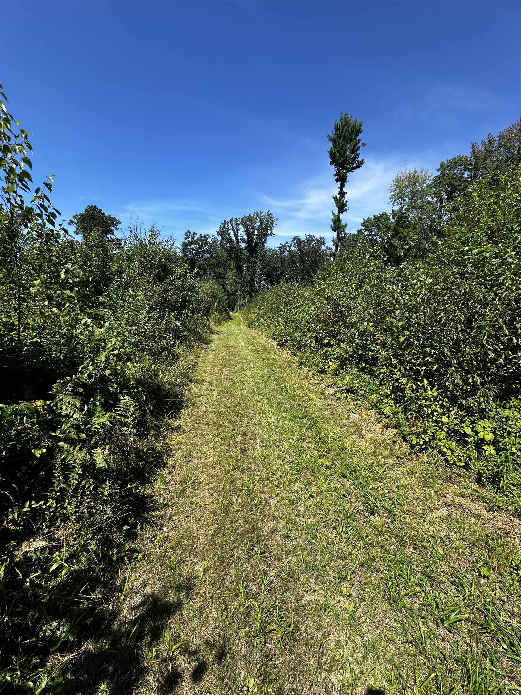 00 COUNTY ROAD Y