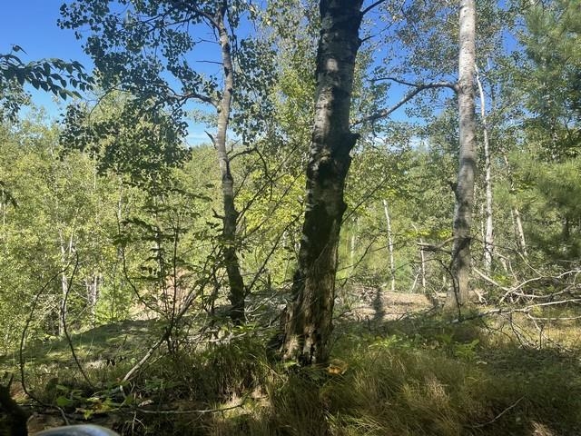 Lot 4 SKYVIEW ROAD, Mosinee, Wisconsin 54455, ,Land,For Sale,Lot 4 SKYVIEW ROAD,22404245