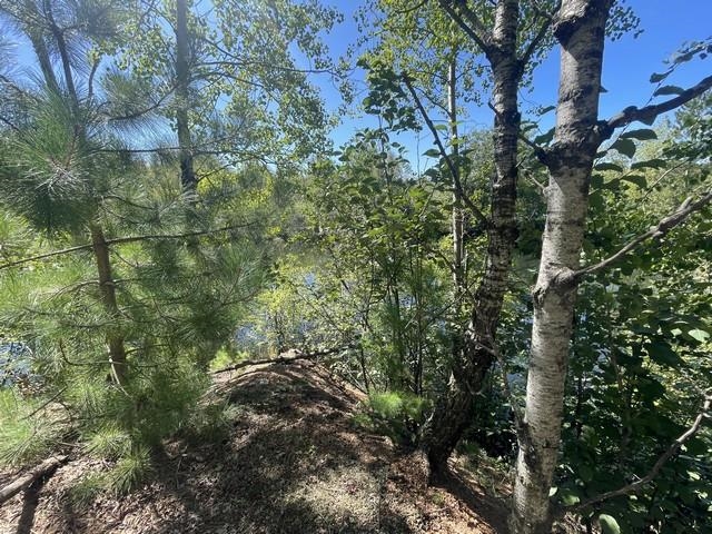 Lot 4 SKYVIEW ROAD, Mosinee, Wisconsin 54455, ,Land,For Sale,Lot 4 SKYVIEW ROAD,22404245