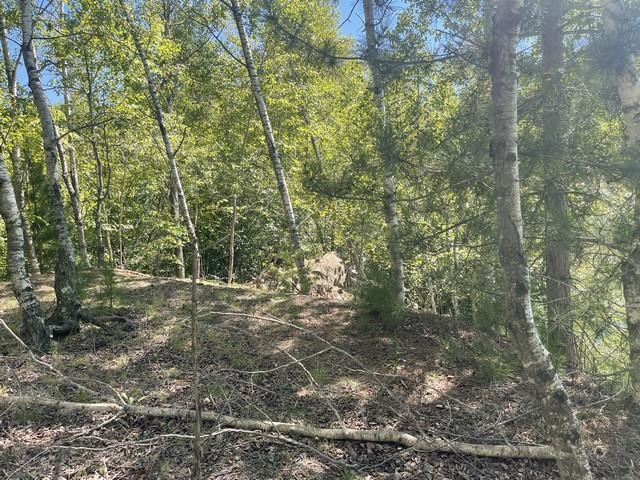 Lot 4 SKYVIEW ROAD, Mosinee, Wisconsin 54455, ,Land,For Sale,Lot 4 SKYVIEW ROAD,22404245