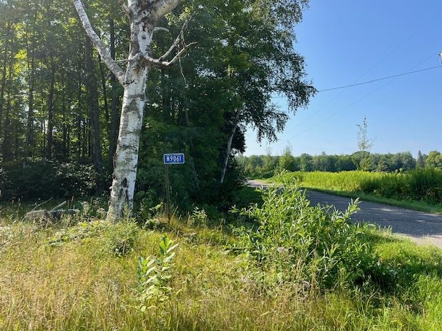 N9061 SCHMIDT DRIVE, Pickerel, Wisconsin 54465, ,Land,For Sale,N9061 SCHMIDT DRIVE,22404528