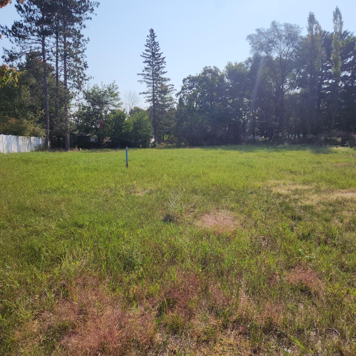 2036 LOCUST STREET, Stevens Point, Wisconsin 54481, ,Land,For Sale,2036 LOCUST STREET,22404772