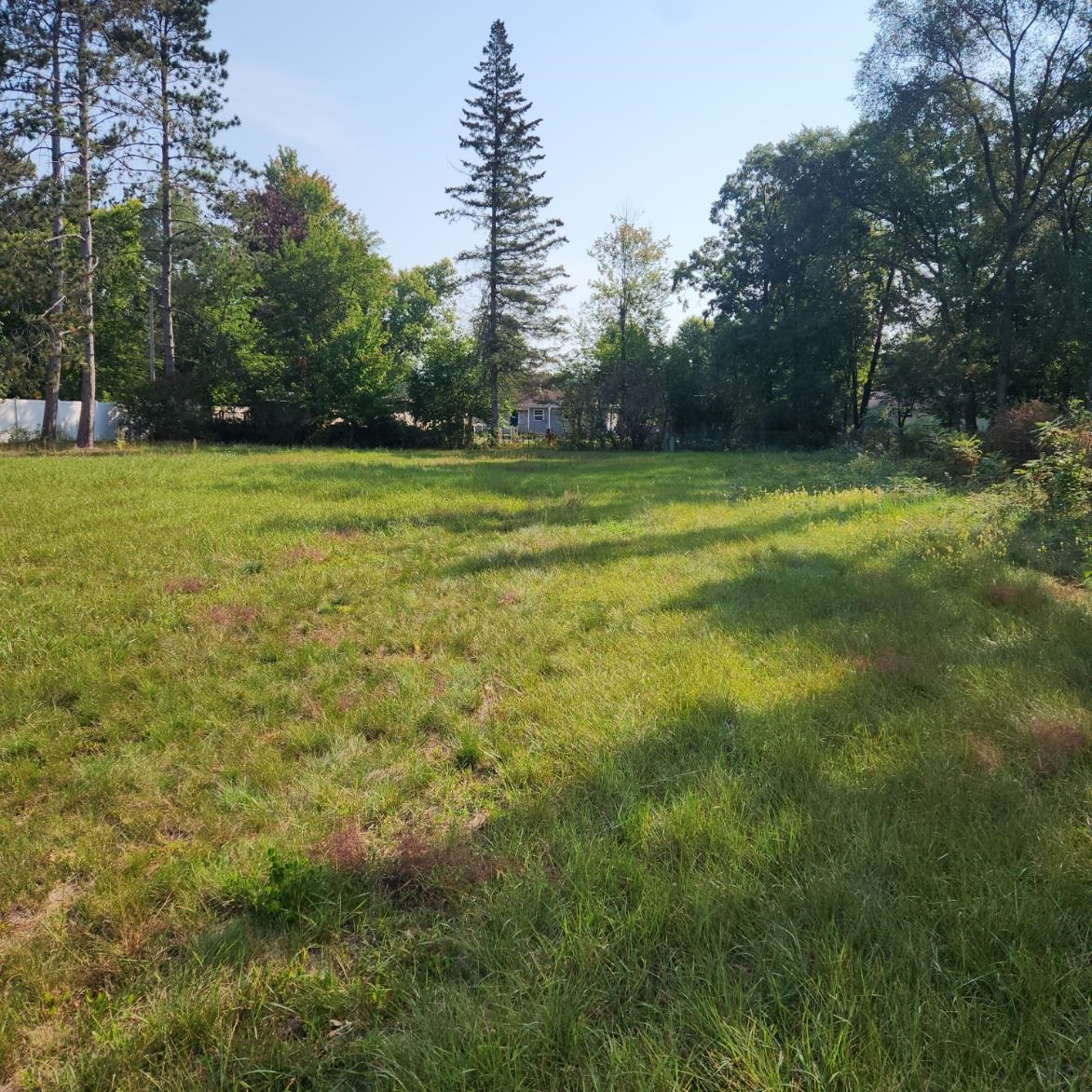 2036 LOCUST STREET, Stevens Point, Wisconsin 54481, ,Land,For Sale,2036 LOCUST STREET,22404772
