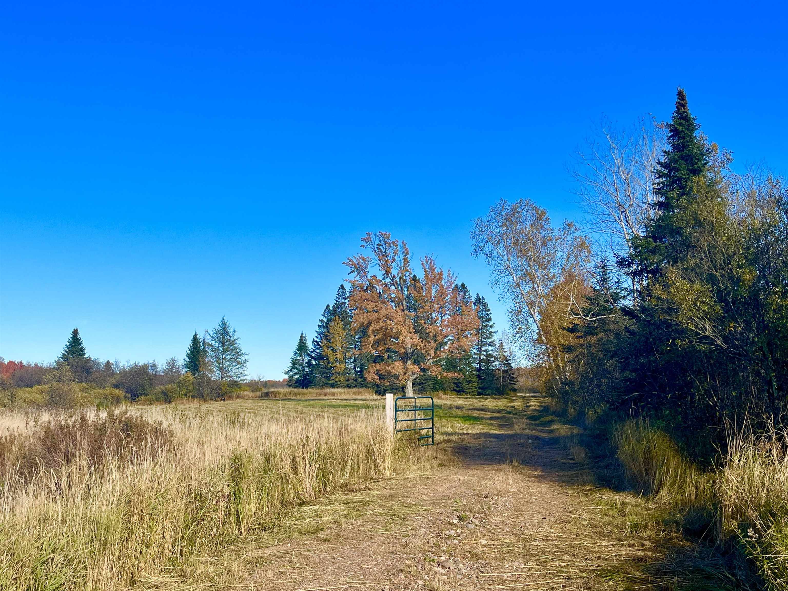 N5104 PASS ROAD, Catawba, Wisconsin 54515, ,Land,For Sale,N5104 PASS ROAD,22404843