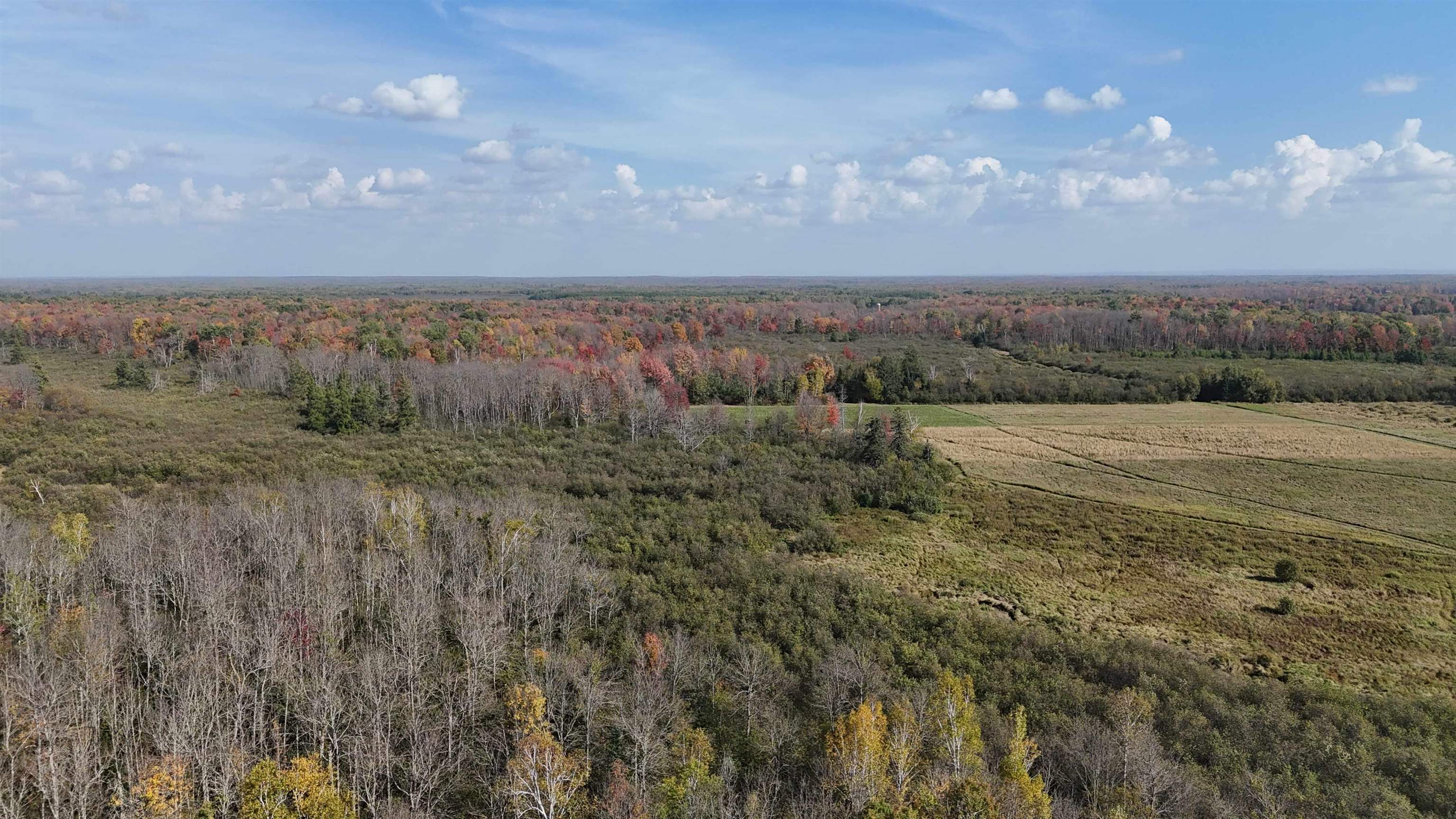 N5104 PASS ROAD, Catawba, Wisconsin 54515, ,Land,For Sale,N5104 PASS ROAD,22404843