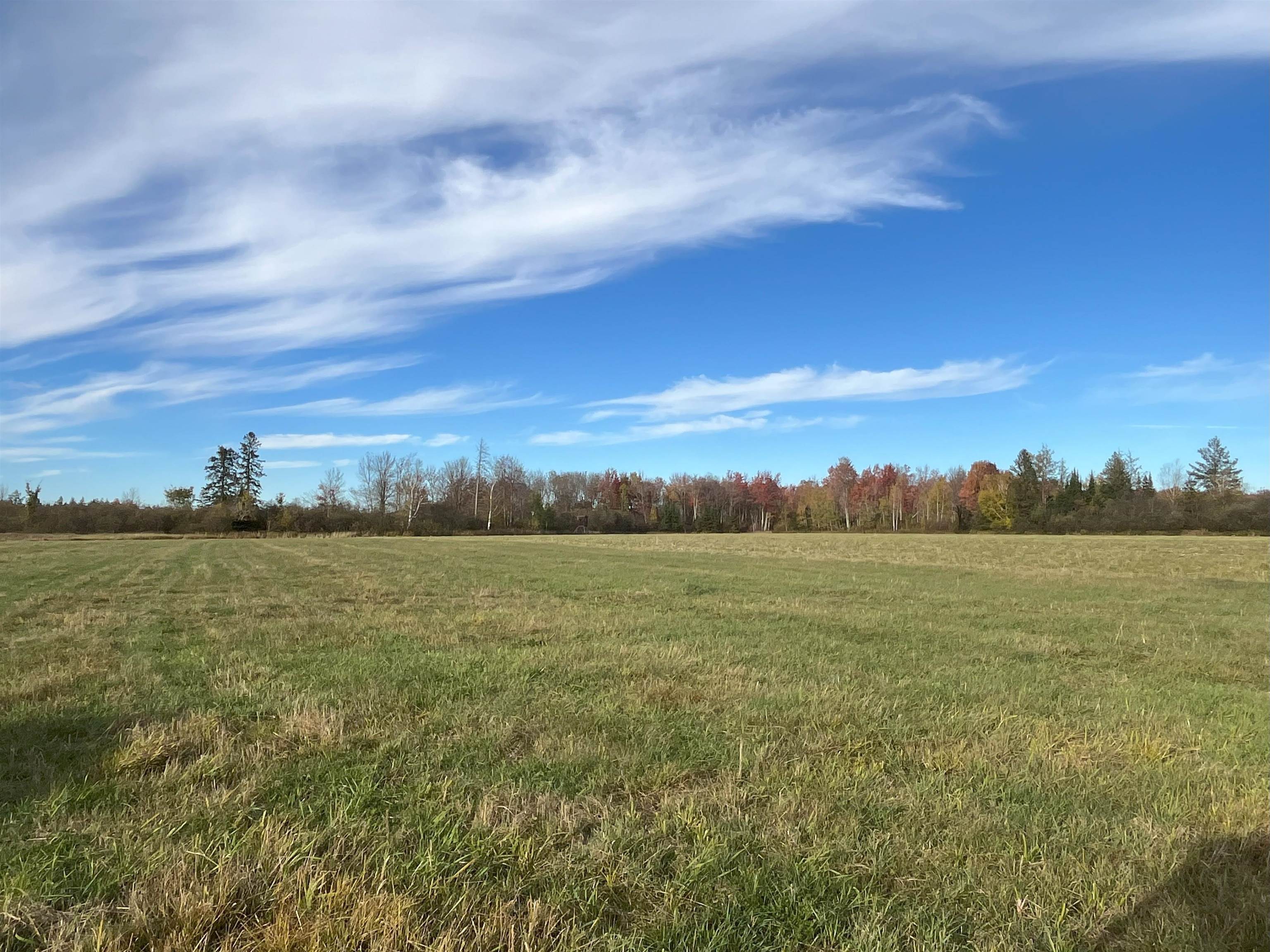 N5104 PASS ROAD, Catawba, Wisconsin 54515, ,Land,For Sale,N5104 PASS ROAD,22404843