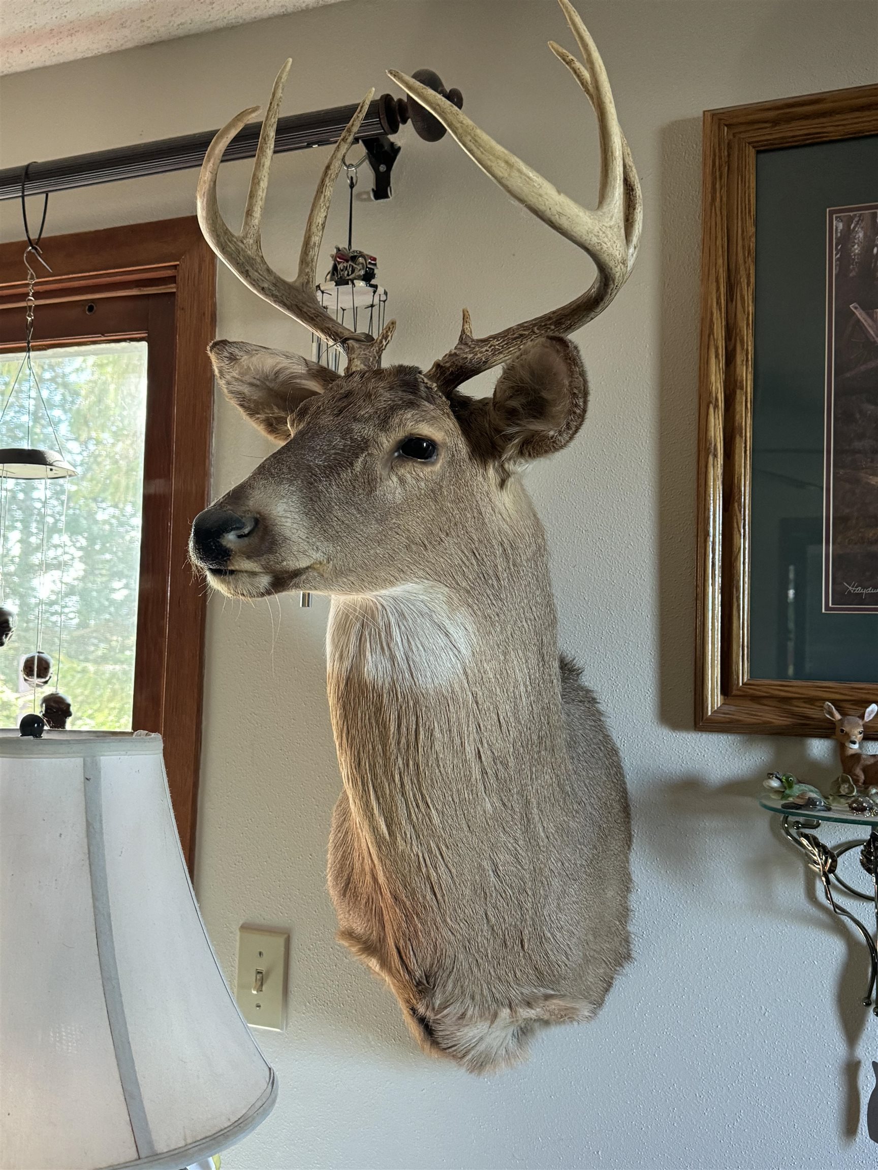 BIRNAMWOOD ROAD, Birnamwood, Wisconsin 54414, ,Land,For Sale,BIRNAMWOOD ROAD,22405215