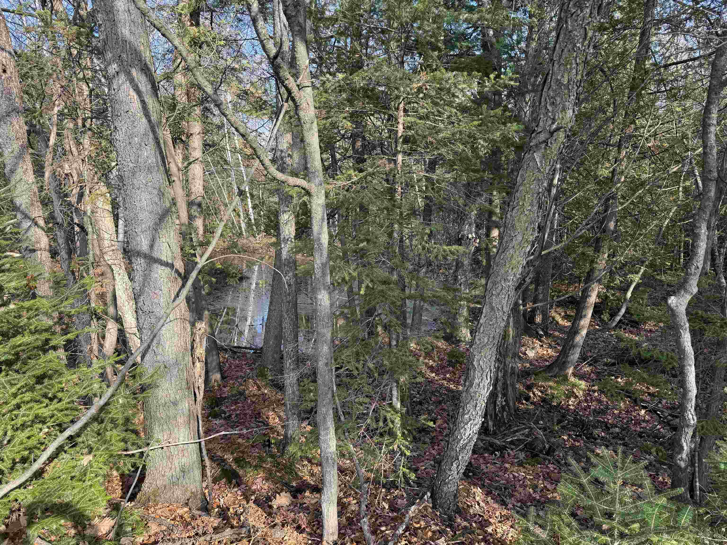 BIRNAMWOOD ROAD, Birnamwood, Wisconsin 54414, ,Land,For Sale,BIRNAMWOOD ROAD,22405215