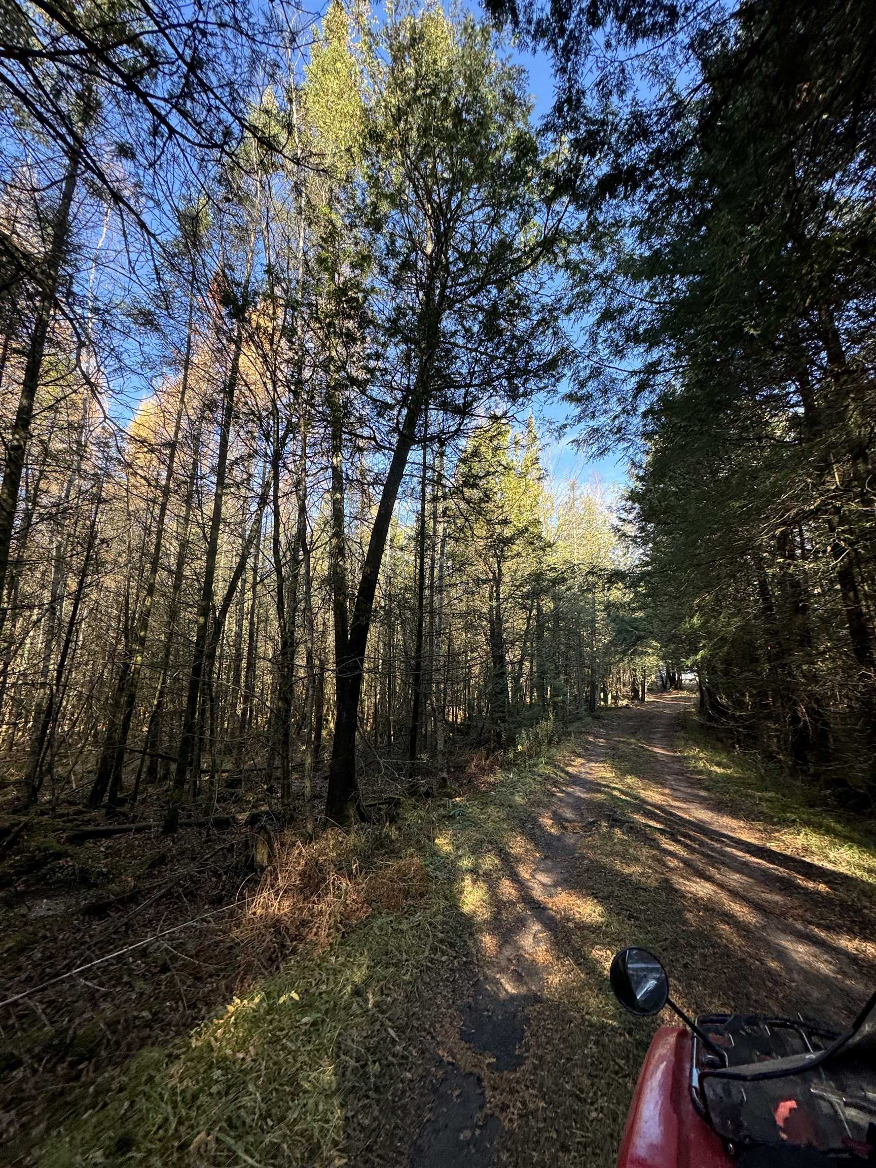 BIRNAMWOOD ROAD, Birnamwood, Wisconsin 54414, ,Land,For Sale,BIRNAMWOOD ROAD,22405215