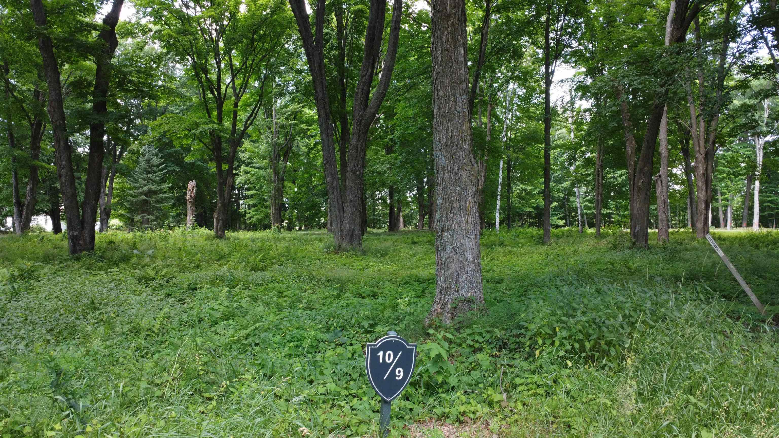 Lot 9 ACKLEY LANDING, Antigo, Wisconsin 54409, ,Land,For Sale,Lot 9 ACKLEY LANDING,22405324