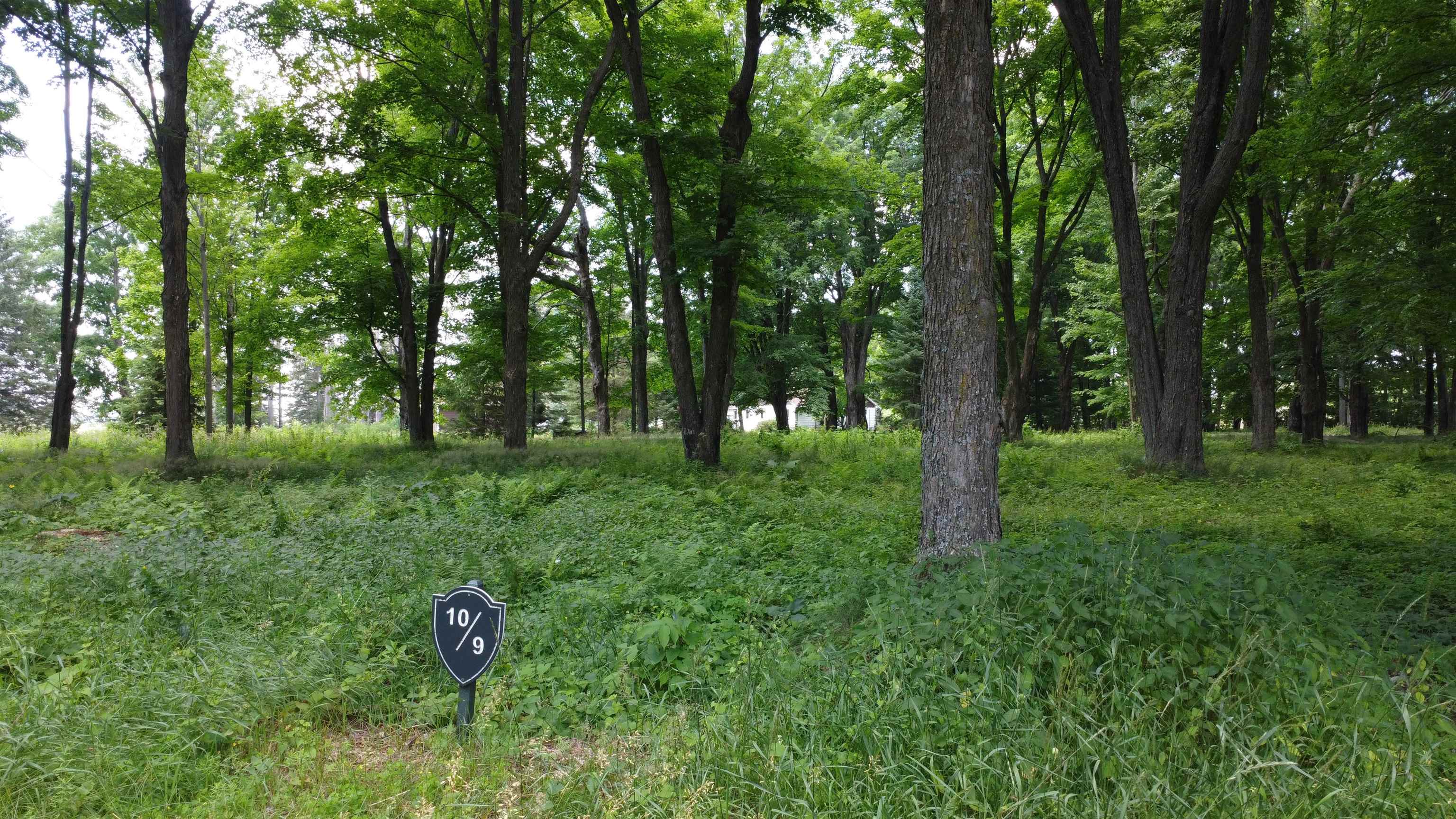 Lot 10 HUNTER CIRCLE, Antigo, Wisconsin 54409, ,Land,For Sale,Lot 10 HUNTER CIRCLE,22405326