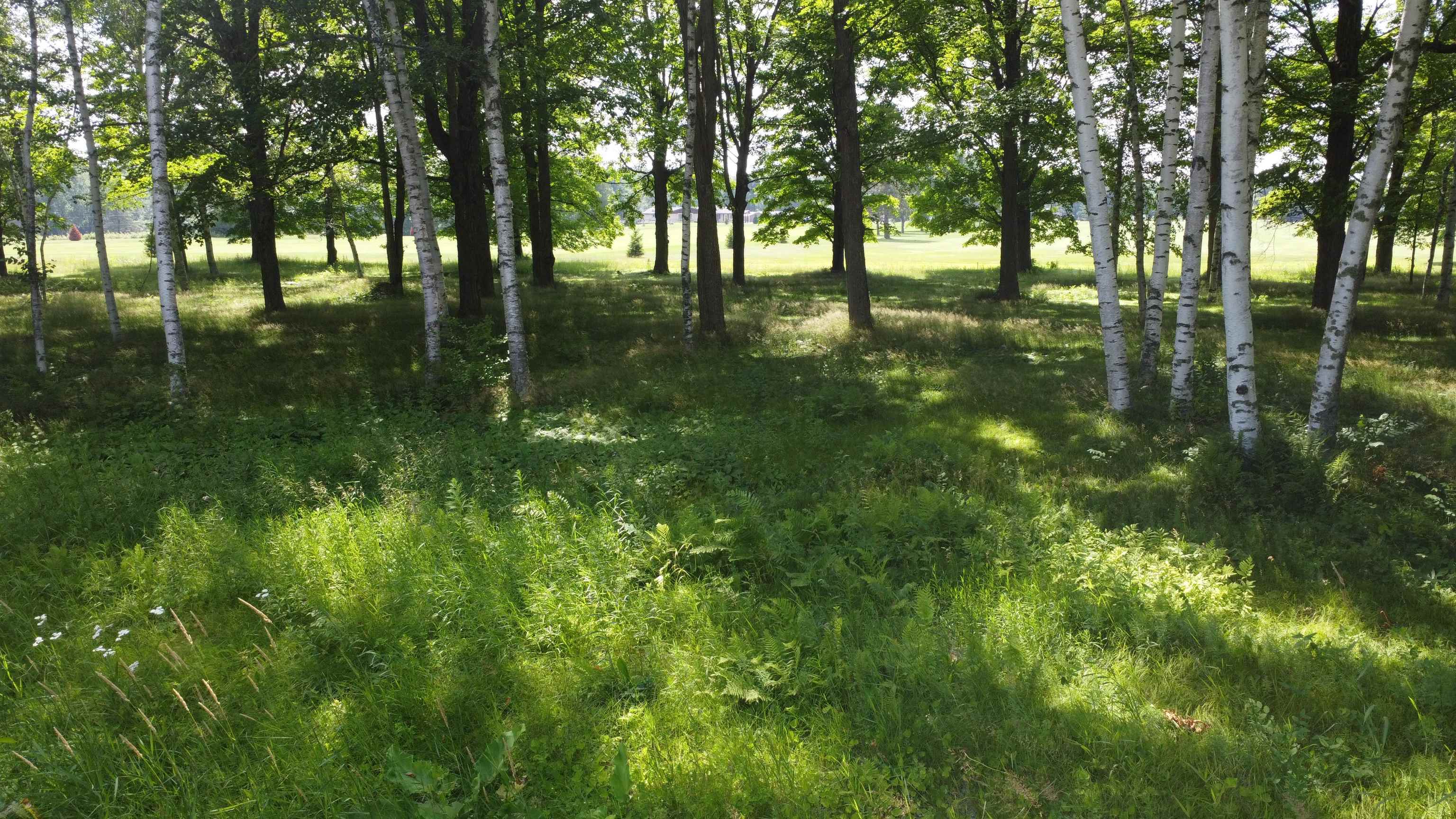 Lot 11 HUNTER CIRCLE, Antigo, Wisconsin 54409, ,Land,For Sale,Lot 11 HUNTER CIRCLE,22405327