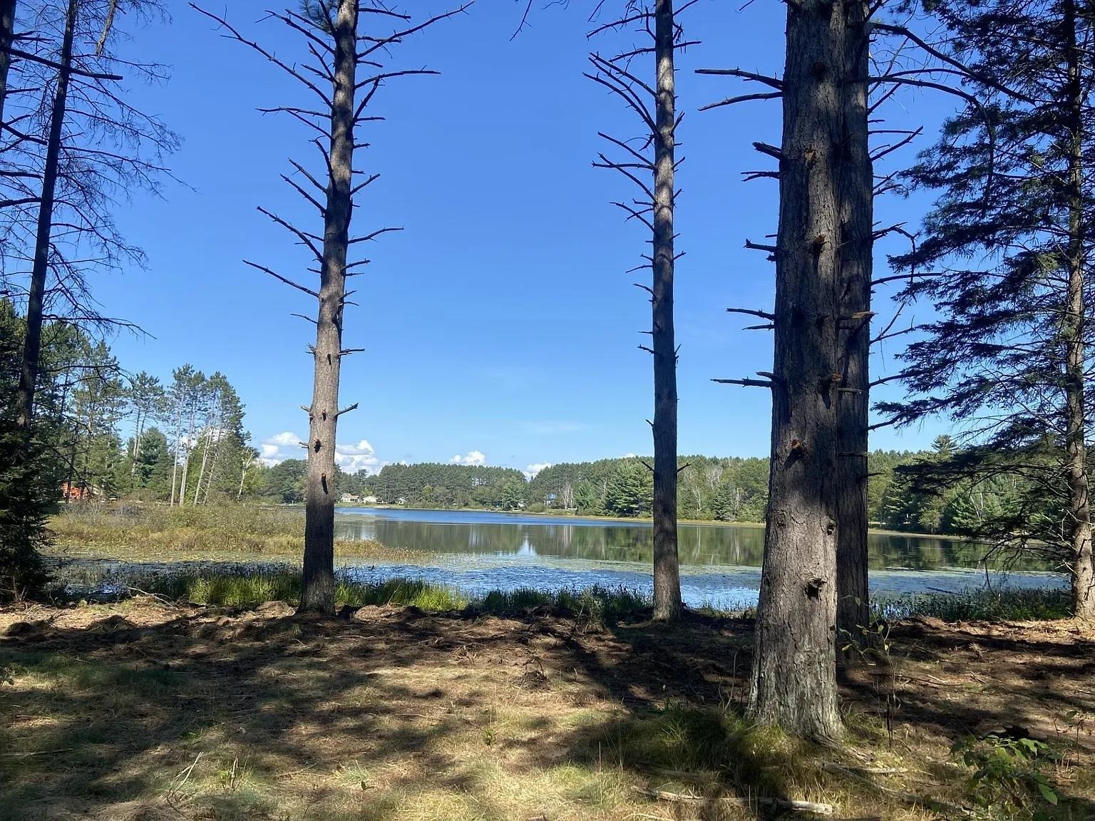 Lot 2 PINE SHORE LANE, Tomahawk, Wisconsin 54487, ,Land,For Sale,Lot 2 PINE SHORE LANE,22405330