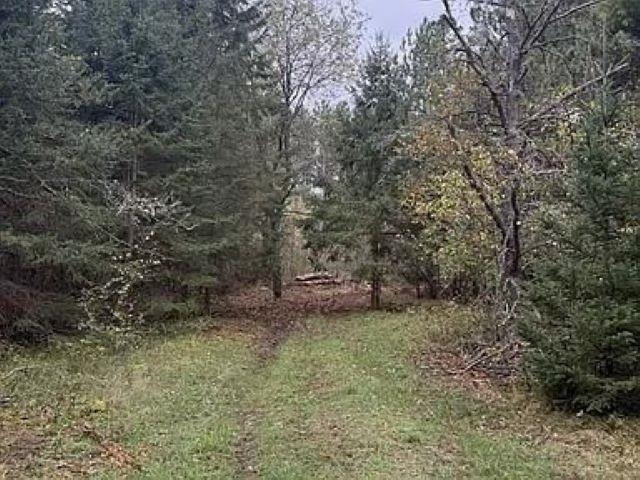 Lot 2 PINE SHORE LANE, Tomahawk, Wisconsin 54487, ,Land,For Sale,Lot 2 PINE SHORE LANE,22405330