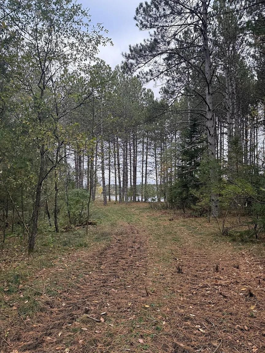 Lot 2 PINE SHORE LANE, Tomahawk, Wisconsin 54487, ,Land,For Sale,Lot 2 PINE SHORE LANE,22405330