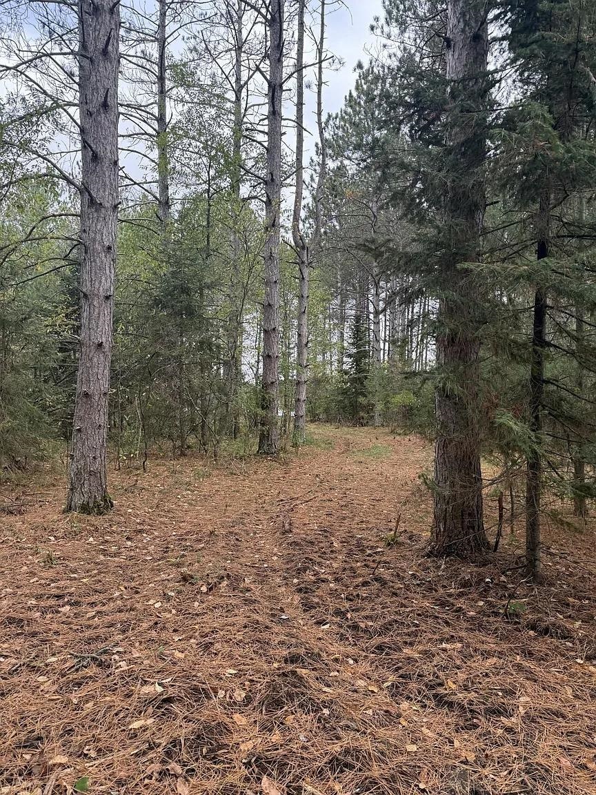 Lot 2 PINE SHORE LANE, Tomahawk, Wisconsin 54487, ,Land,For Sale,Lot 2 PINE SHORE LANE,22405330