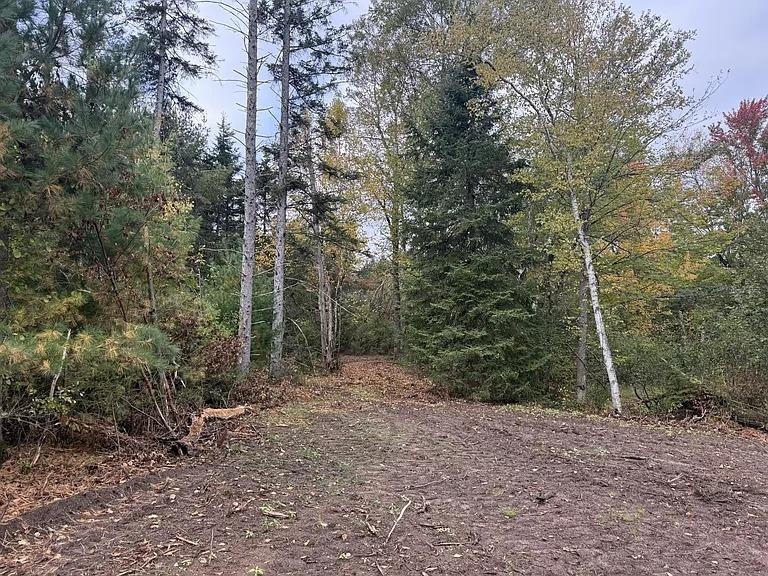 Lot 2 PINE SHORE LANE, Tomahawk, Wisconsin 54487, ,Land,For Sale,Lot 2 PINE SHORE LANE,22405330
