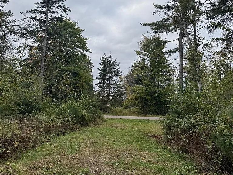 Lot 4 PINE SHORE LANE, Tomahawk, Wisconsin 54487, ,Land,For Sale,Lot 4 PINE SHORE LANE,22405333