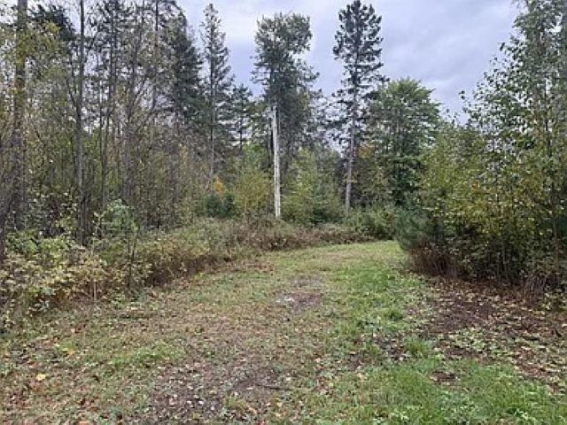 Lot 4 PINE SHORE LANE, Tomahawk, Wisconsin 54487, ,Land,For Sale,Lot 4 PINE SHORE LANE,22405333