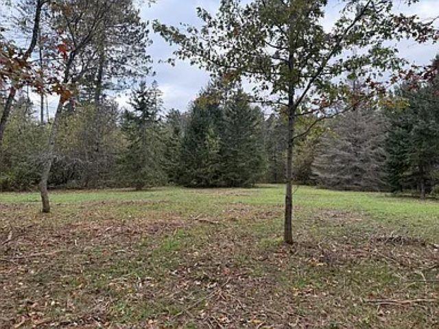 Lot 4 PINE SHORE LANE, Tomahawk, Wisconsin 54487, ,Land,For Sale,Lot 4 PINE SHORE LANE,22405333