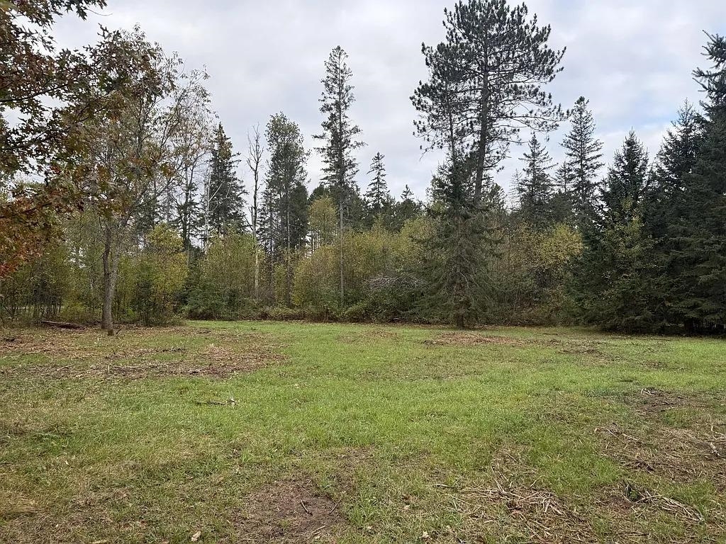 Lot 4 PINE SHORE LANE, Tomahawk, Wisconsin 54487, ,Land,For Sale,Lot 4 PINE SHORE LANE,22405333