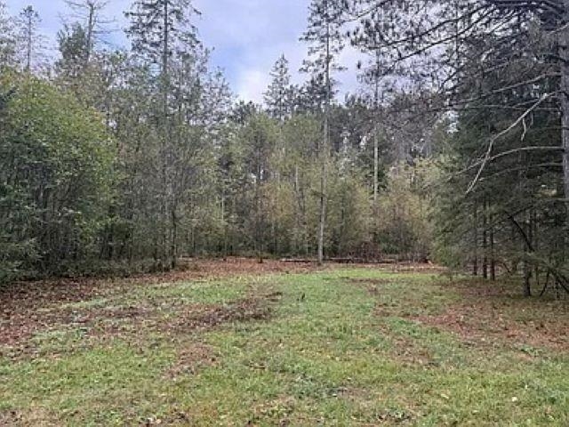 Lot 4 PINE SHORE LANE, Tomahawk, Wisconsin 54487, ,Land,For Sale,Lot 4 PINE SHORE LANE,22405333