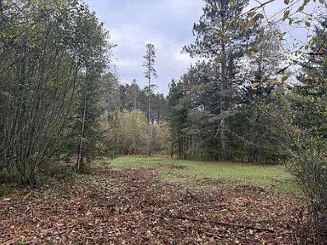 Lot 4 PINE SHORE LANE, Tomahawk, Wisconsin 54487, ,Land,For Sale,Lot 4 PINE SHORE LANE,22405333