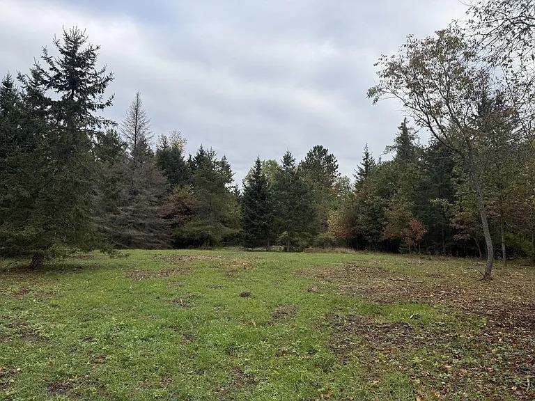 Lot 4 PINE SHORE LANE, Tomahawk, Wisconsin 54487, ,Land,For Sale,Lot 4 PINE SHORE LANE,22405333