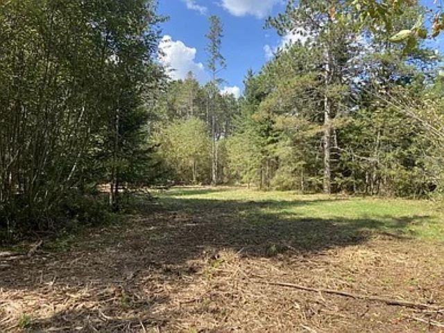 Lot 4 PINE SHORE LANE, Tomahawk, Wisconsin 54487, ,Land,For Sale,Lot 4 PINE SHORE LANE,22405333